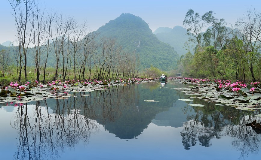 Ngam nhin ve dep mua hoa sung suoi Yen - Hinh anh 16