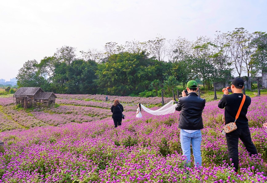 Khung canh troi Au hoa Bach Nhat tim trong long Ha Noi - Hinh anh 12