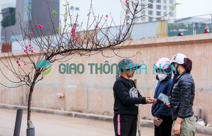 Dao Nhat Tan no som, xuong pho phuc vu nguoi dan choi Tet - Hinh anh 4