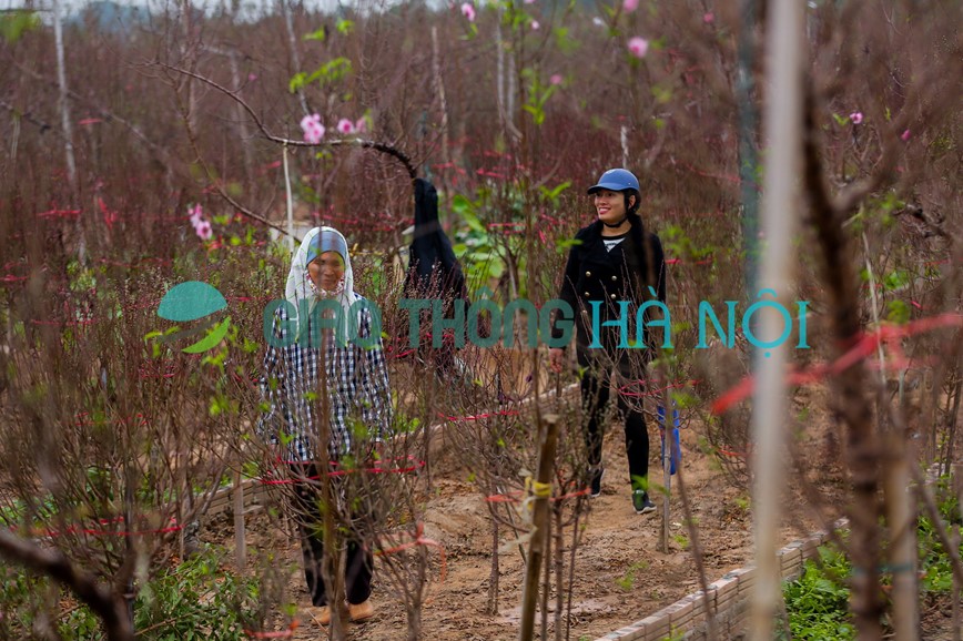 Dao Nhat Tan no som, xuong pho phuc vu nguoi dan choi Tet - Hinh anh 8