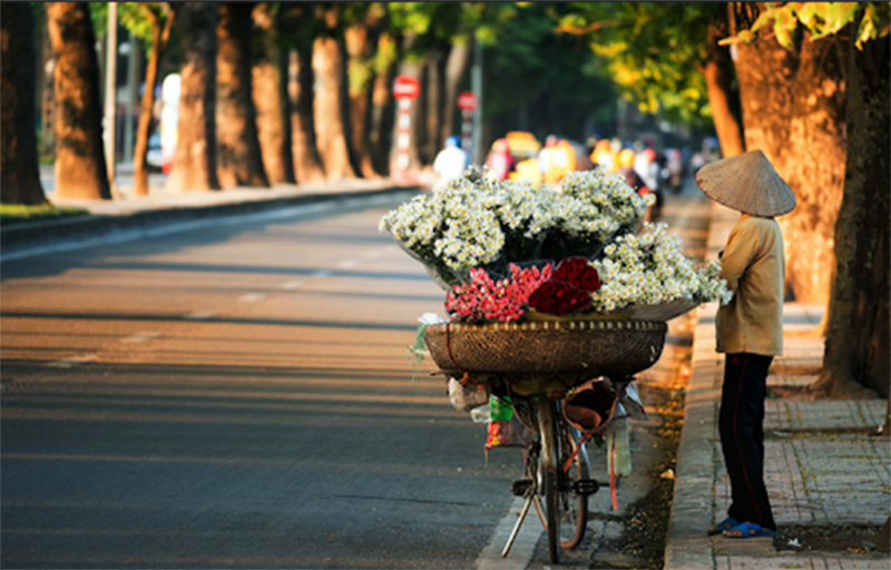 Thoi tiet ngay 17/2: Bac Bo trua hung nang, Tay Nguyen va Nam Bo co noi nang nong tren 37 do - Hinh anh 1