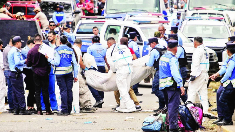 Hai xe buyt tong truc dien tren cao toc, it nhat 17 nguoi tu vong - Hinh anh 1