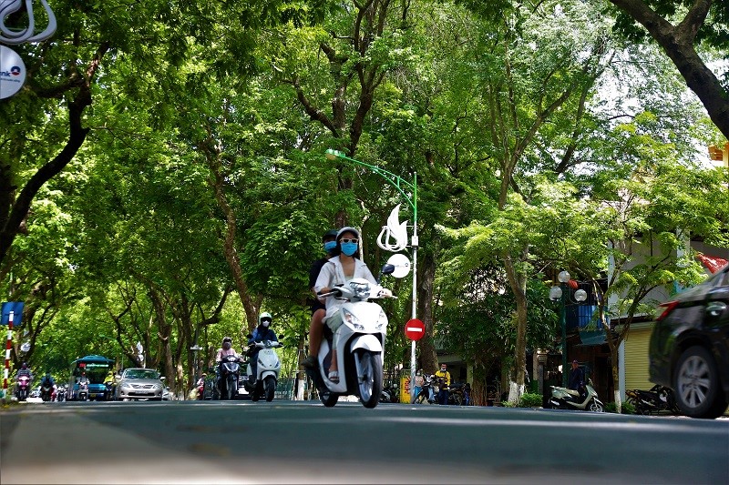 Nhung con pho tro thanh “thien duong” giua nang he Ha Noi  - Hinh anh 3