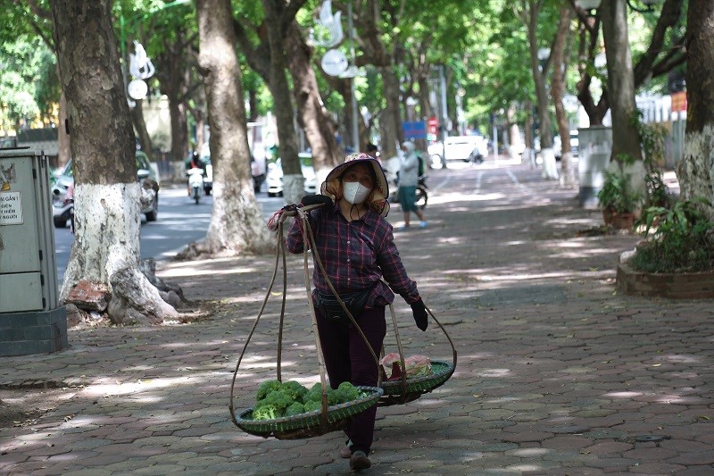 Nhung con pho tro thanh “thien duong” giua nang he Ha Noi  - Hinh anh 6