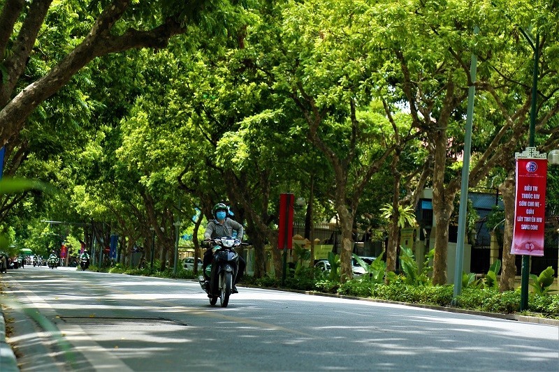 Nhung con pho tro thanh “thien duong” giua nang he Ha Noi  - Hinh anh 13