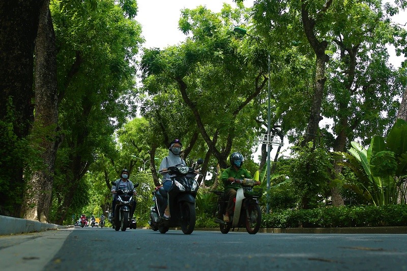 Nhung con pho tro thanh “thien duong” giua nang he Ha Noi  - Hinh anh 1