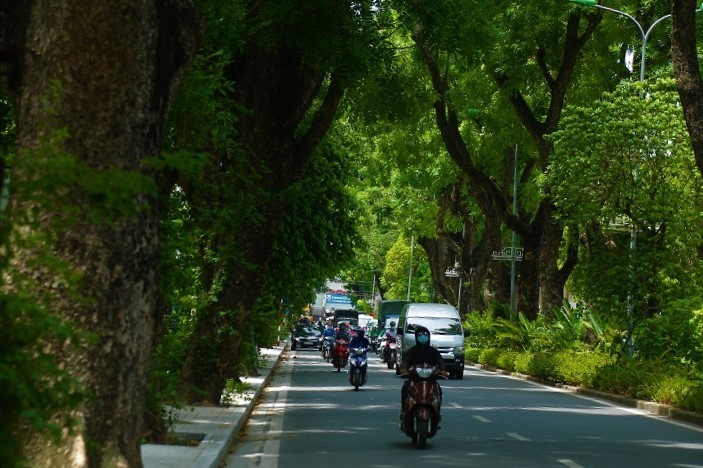 Nhung con pho tro thanh “thien duong” giua nang he Ha Noi  - Hinh anh 2