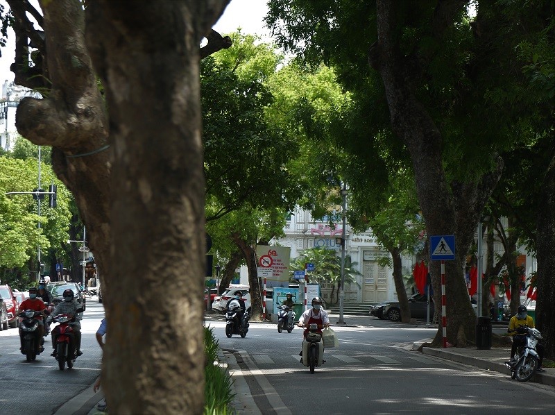 Nhung con pho tro thanh “thien duong” giua nang he Ha Noi  - Hinh anh 10