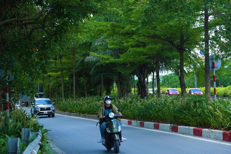 Duong pho Ha Noi “de chiu” nho cay xanh da dang - Hinh anh 12