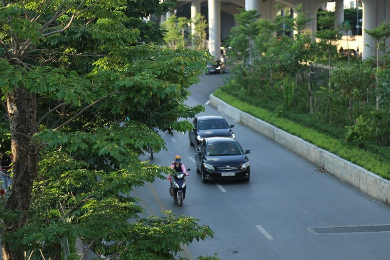 Duong pho Ha Noi “de chiu” nho cay xanh da dang - Hinh anh 10