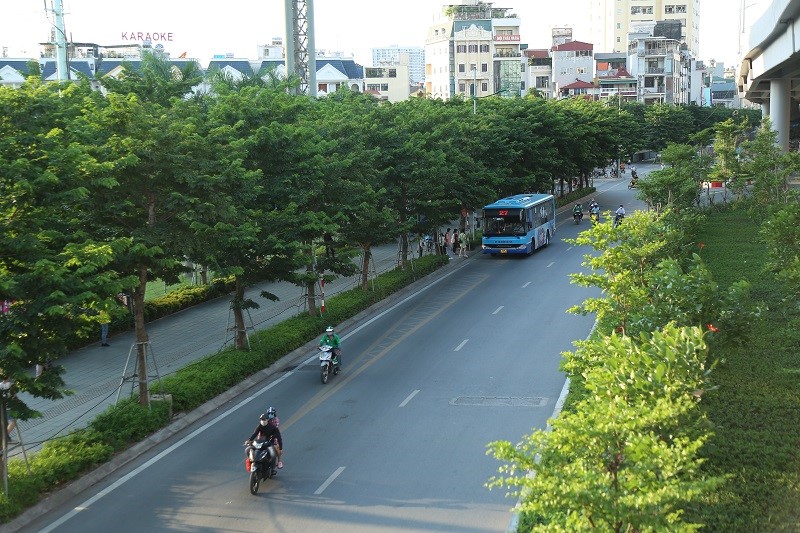 Duong pho Ha Noi “de chiu” nho cay xanh da dang - Hinh anh 9