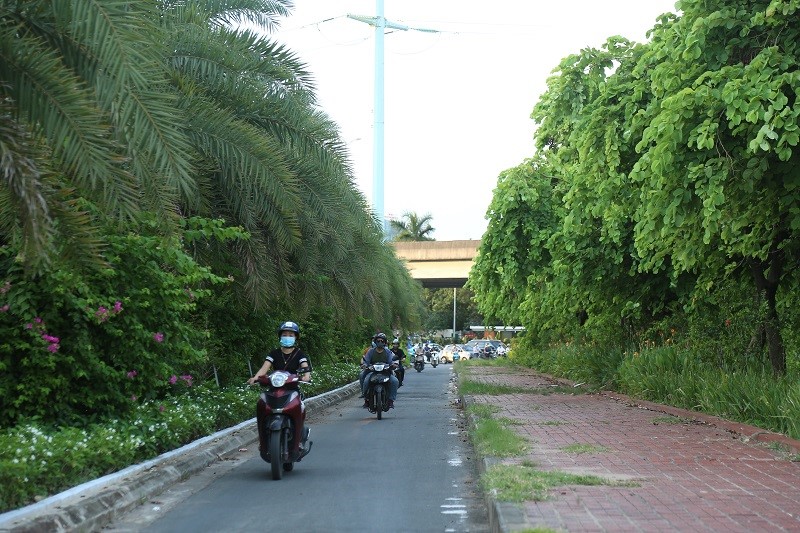 Duong pho Ha Noi “de chiu” nho cay xanh da dang - Hinh anh 7