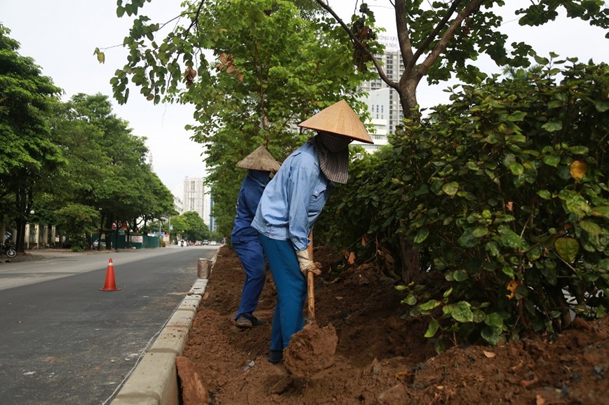 Sau khi xen dai phan cach, duong Ton That Thuyet co dien mao moi - Hinh anh 4