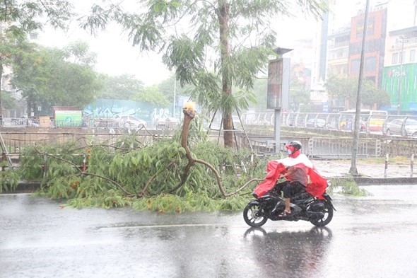 Kinh nghiem tham gia giao thong khi troi mua - Hinh anh 2