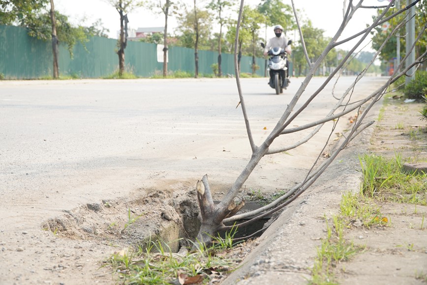 Ha Noi: Mat hang loat nap cong tren duong Hoang Sa - Hinh anh 1