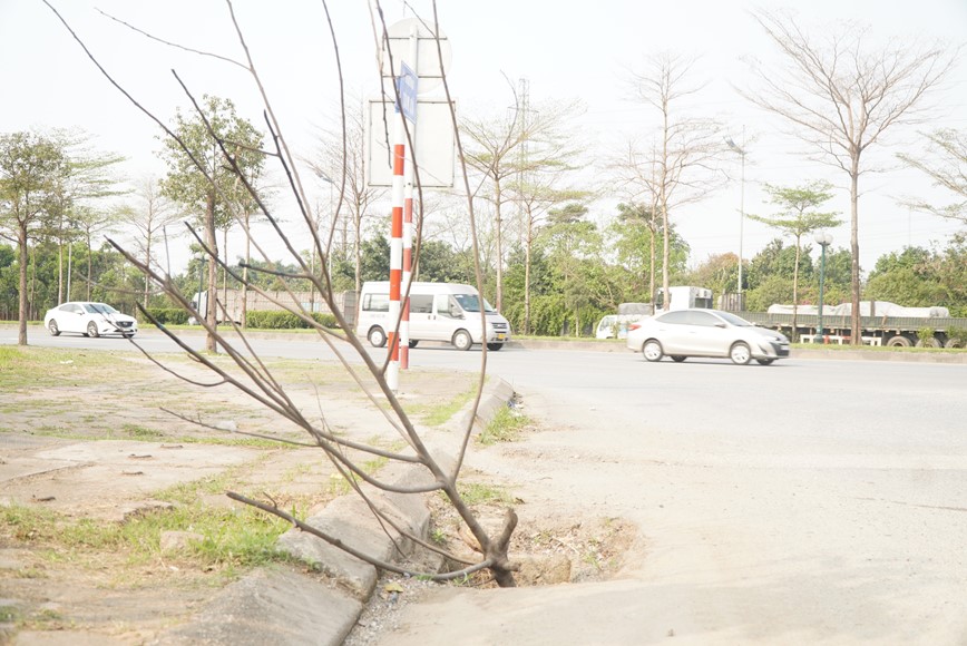 Ha Noi: Mat hang loat nap cong tren duong Hoang Sa - Hinh anh 4