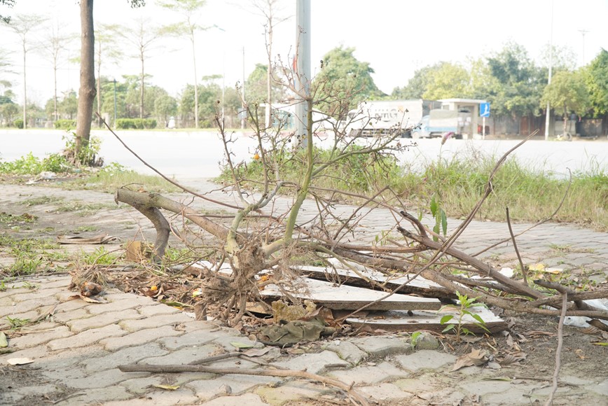 Ha Noi: Mat hang loat nap cong tren duong Hoang Sa - Hinh anh 3