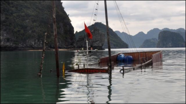 Dam tau, nguoi me va con trai 14 thang tuoi tu vong - Hinh anh 1