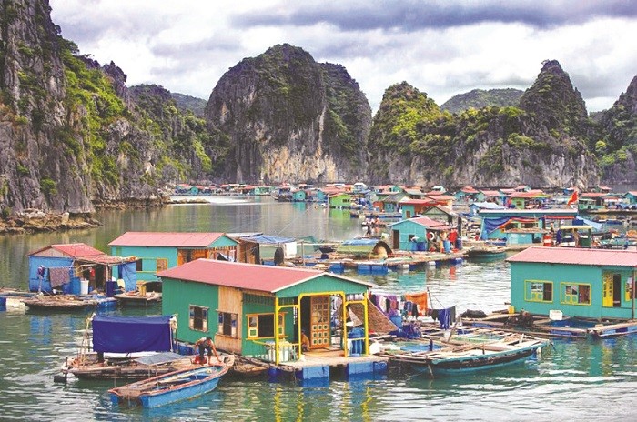 Quang Ninh: Cam phuong tien hoat dong o lang chai Cua Van  - Hinh anh 1