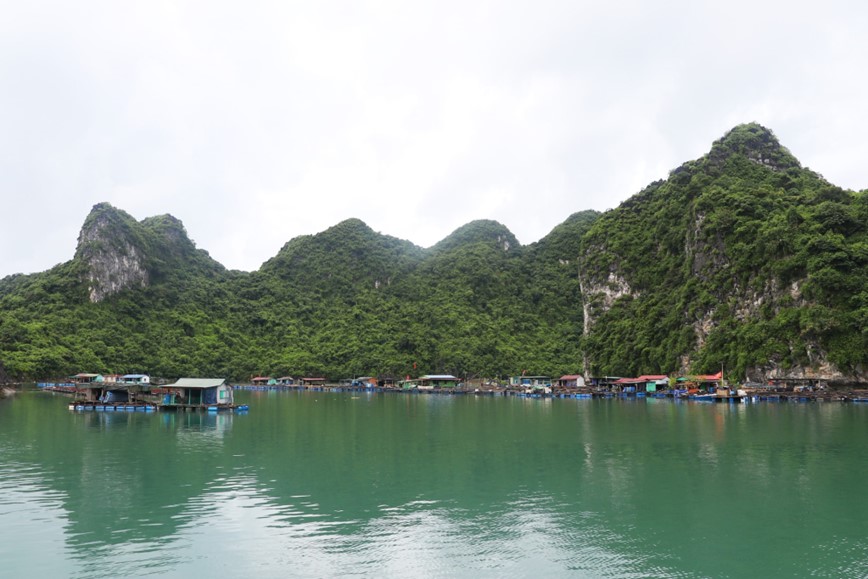 Quang Ninh: khao sat cac tuyen tham quan tren vinh Bai Tu Long - Hinh anh 1