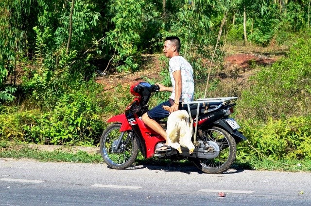 Vu “hoi vit” o Quang Binh: Cong an vao cuoc dieu tra - Hinh anh 1