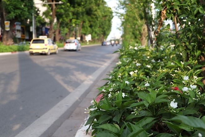 Duong Lang “lot xac” thanh Singapore giua long Ha Noi - Hinh anh 6