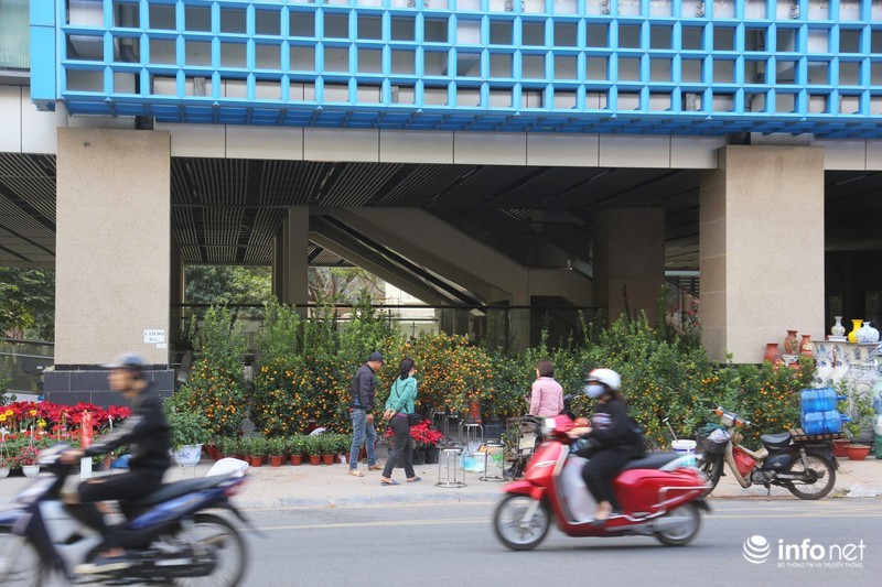 Via he, san nha ga duong sat tren cao Cat Linh - Ha Dong thanh cho hoa Tet - Hinh anh 2